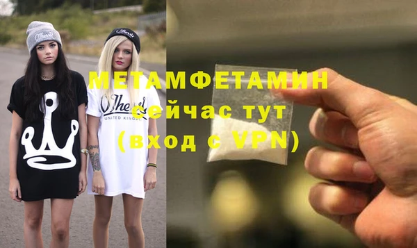 шишки Тутаев