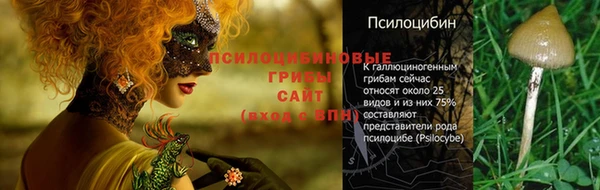 ГАЛЛЮЦИНОГЕННЫЕ ГРИБЫ Володарск