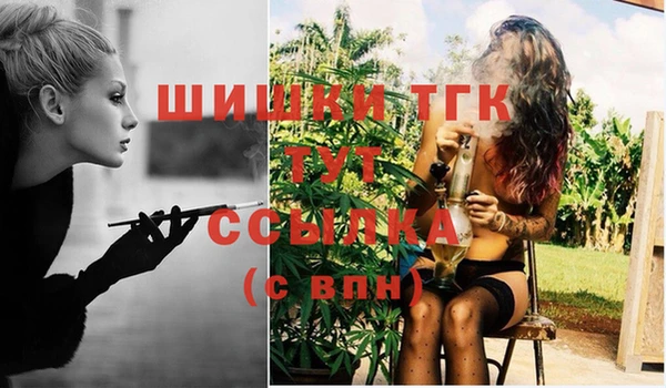 гидра Вяземский