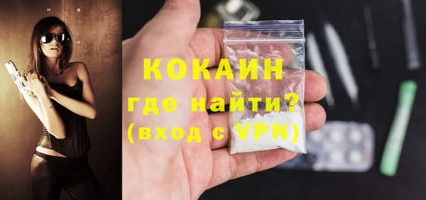 гидра Вяземский