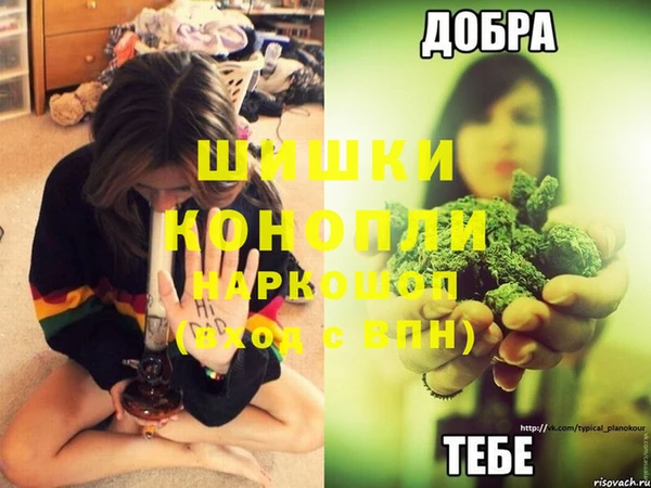 спайс Волоколамск