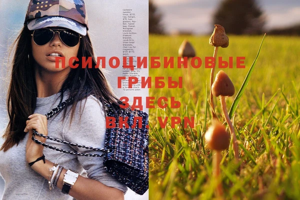 спайс Волоколамск