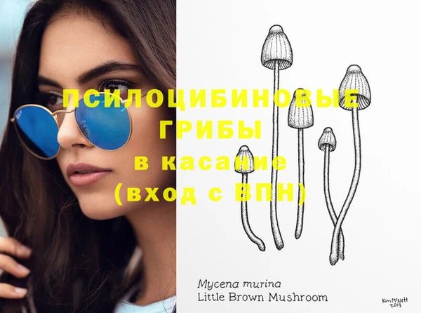 ГАЛЛЮЦИНОГЕННЫЕ ГРИБЫ Володарск